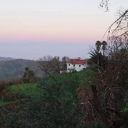 Finca Pajaritos 롯지 라스팔마스