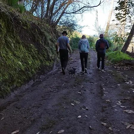 Pajaritos *