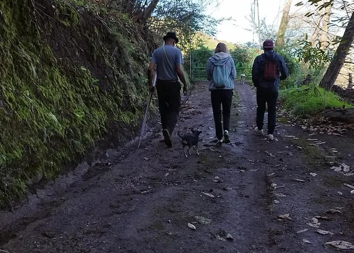 Finca Pajaritos *