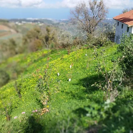 Lodge Finca Pajaritos