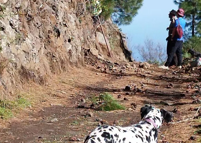 Finca Pajaritos Las Palmas de Gran Canaria